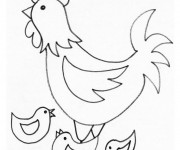 Coloriage Poule 29