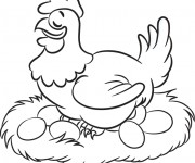 Coloriage Poule 33