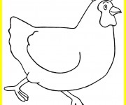 Coloriage Poule 4