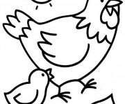 Coloriage Poule 42