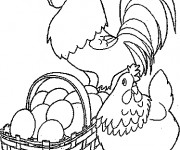 Coloriage Poule 43