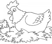 Coloriage Poule 45