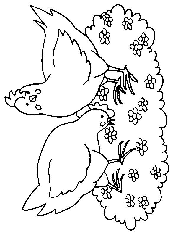 Coloriage De Poule A Imprimer