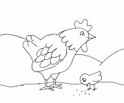 Coloriage Un coq et son petit