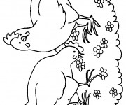 Coloriage Poules au jardin