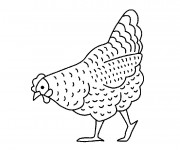 Coloriage et dessins gratuit Poulet cherche à manger à imprimer