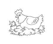 Coloriage Poulet humoristique