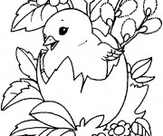 Coloriage et dessins gratuit Poussin trop mignon à imprimer