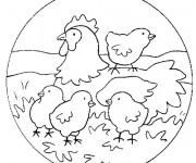 Coloriage Poussins et leur mère