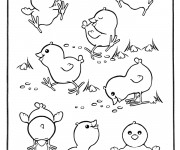 Coloriage et dessins gratuit Poussins qui jouent à imprimer