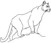 Coloriage et dessins gratuit Contour de Puma &agrave; colorier à imprimer
