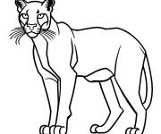 Coloriage et dessins gratuit Esquisse de contour de puma à imprimer