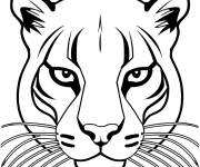 Coloriage Gros plan sur le visage d'un puma
