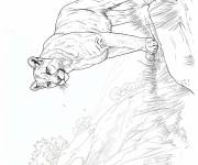 Coloriage Illustration de Puma magestique sur la montagne