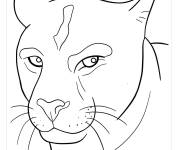 Coloriage Joueur de baseball Puma