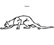 Coloriage et dessins gratuit Le Puma  qui marche en se cachant à imprimer