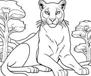 Coloriage Le Puma  se repose