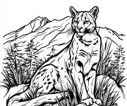Coloriage Paysage de la nature ou on trouve un Puma r&eacute;aliste