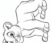 Coloriage Petit Puma