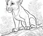 Coloriage Petit Puma apprends &agrave; vivre dans la nature