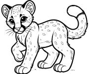 Coloriage Petit Puma mignon