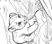 Coloriage Petit Puma sur la rivi&egrave;re