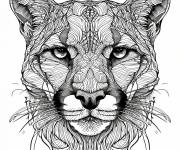Coloriage Portrait de Puma r&eacute;aliste