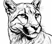 Coloriage Portrait de Puma regardant &agrave; gauche