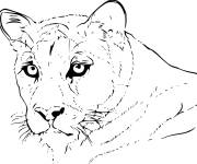 Coloriage Portrait de tete de Puma r&eacute;aliste
