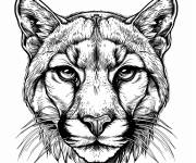 Coloriage Portrait de t&ecirc;te de Puma r&eacute;aliste
