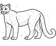 Coloriage Puma adulte