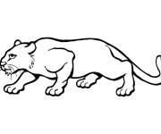 Coloriage Puma adulte f&eacute;roce