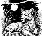 Coloriage Puma assis pendant la nuit
