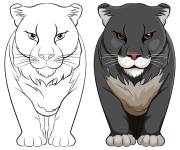Coloriage Puma avec un mod&egrave;le en couleur  