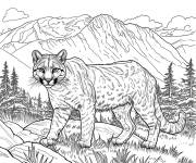 Coloriage Puma cherchant sa proie dans la nature