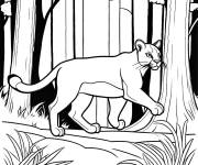 Coloriage Puma courant dans la for&ecirc;t