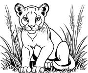 Coloriage Puma dans les hautes herbes