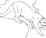 Coloriage Puma de la montagne