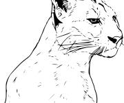 Coloriage Puma debout d&eacute;taill&eacute;