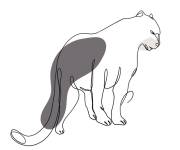 Coloriage et dessins gratuit Puma dessin en ligne à imprimer