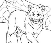 Coloriage Puma devant une montagne