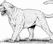 Coloriage Puma effrayant en ligne
