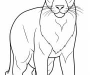 Coloriage Puma en couleurs