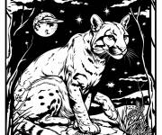 Coloriage Puma et la lune pendant la nuit