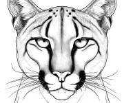 Coloriage Puma face d&eacute;taill&eacute;e GS