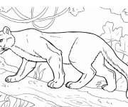 Coloriage Puma grimpant sur l'arbre