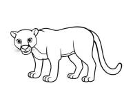 Coloriage et dessins gratuit Puma Lindo à imprimer