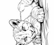 Coloriage Puma petit se reposant sur la plaine