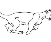 Coloriage et dessins gratuit Puma pr&ecirc;t &agrave; attaquer à imprimer