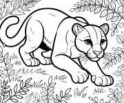 Coloriage Puma qui se cache